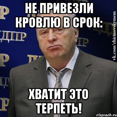 Не привезли кровлю в срок: Хватит это терпеть!, Мем Хватит это терпеть (Жириновский)