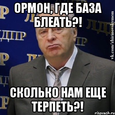 Ормон, где база блеать?! Сколько нам еще терпеть?!, Мем Хватит это терпеть (Жириновский)