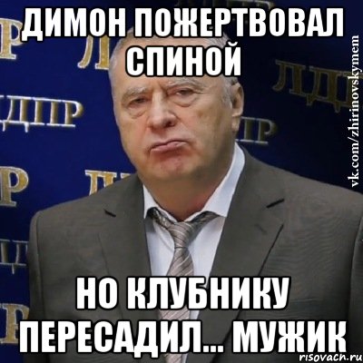 Димон пожертвовал спиной Но клубнику пересадил... Мужик, Мем Хватит это терпеть (Жириновский)