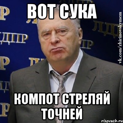 Вот сука Компот стреляй точней, Мем Хватит это терпеть (Жириновский)