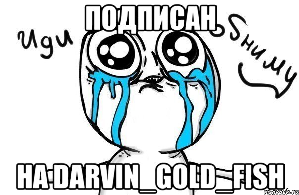 Подписан на Darvin_Gold_fish, Мем Иди обниму