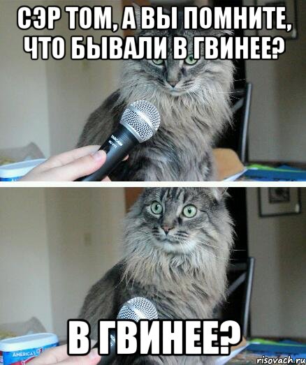 Сэр Том, а вы помните, что бывали в Гвинее? В Гвинее?, Комикс  кот с микрофоном