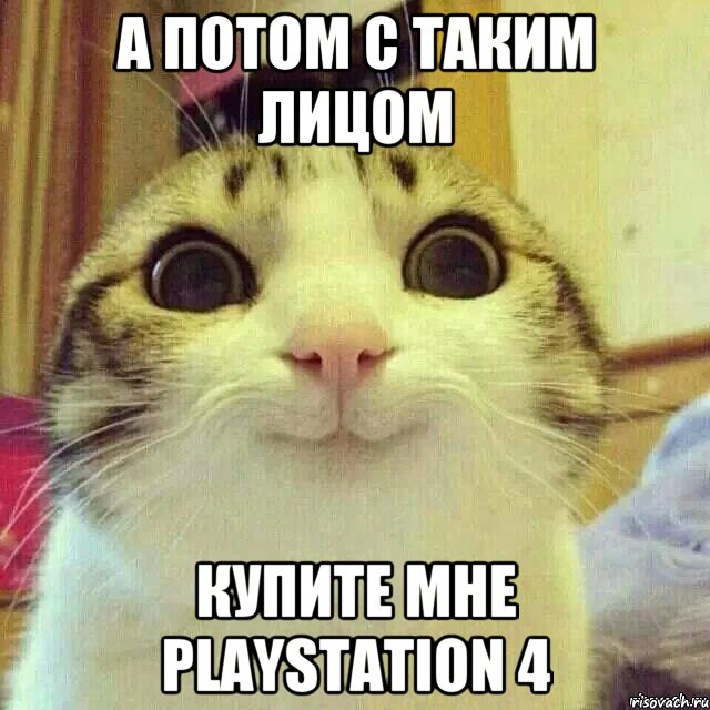 А потом с таким лицом Купите мне PlayStation 4, Мем       Котяка-улыбака