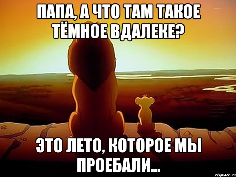 Папа, а что там такое тёмное вдалеке? Это лето, которое мы проебали..., Мем  король лев