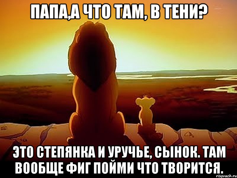 Папа,а что там, в тени? Это степянка и уручье, сынок. Там вообще фиг пойми что творится., Мем  король лев