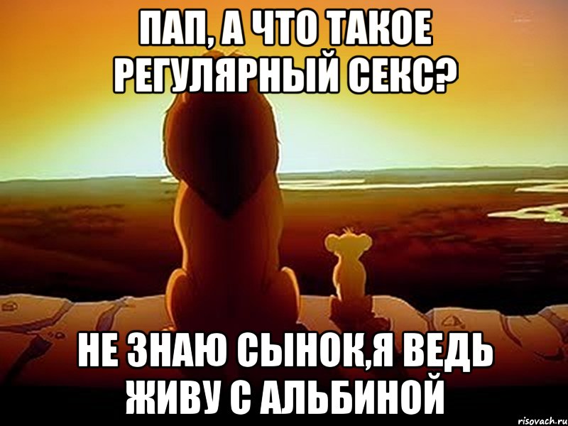 Пап, а что такое регулярный секс? Не знаю сынок,я ведь живу с альбиной, Мем  король лев