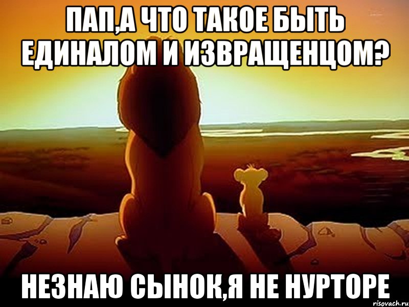 Пап,а что такое быть единалом и извращенцом? Незнаю сынок,я не Нурторе, Мем  король лев