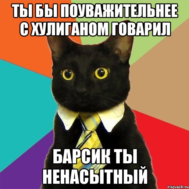 ТЫ БЫ ПОУВАЖИТЕЛЬНЕЕ С ХУЛИГАНОМ ГОВАРИЛ БАРСИК ТЫ НЕНАСЫТНЫЙ, Мем  Кошечка