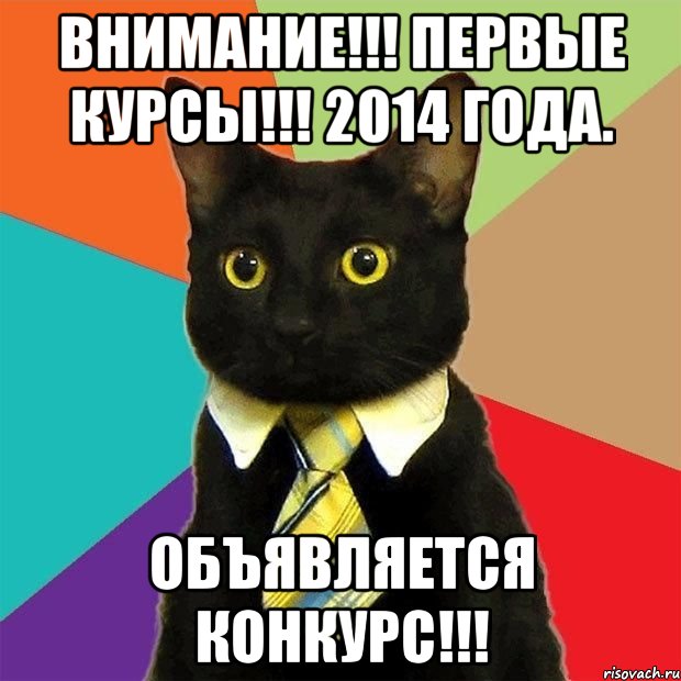 Внимание!!! Первые курсы!!! 2014 года. Объявляется конкурс!!!, Мем  Кошечка