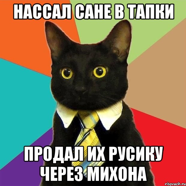 НАССАЛ САНЕ В ТАПКИ ПРОДАЛ ИХ РУСИКУ ЧЕРЕЗ МИХОНА, Мем  Кошечка