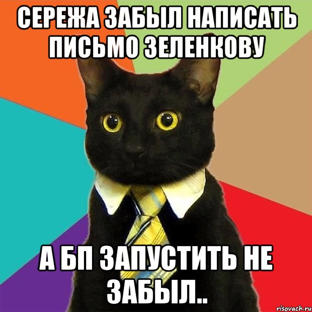 Сережа забыл написать письмо зеленкову А БП запустить не забыл.., Мем  Кошечка