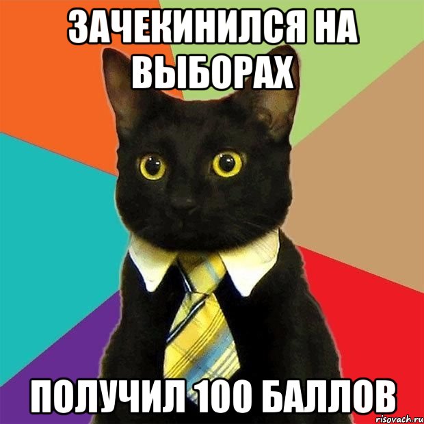 Зачекинился на выборах получил 100 баллов, Мем  Кошечка