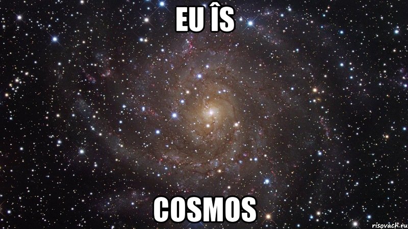 Eu îs COSMOS, Мем  Космос (офигенно)