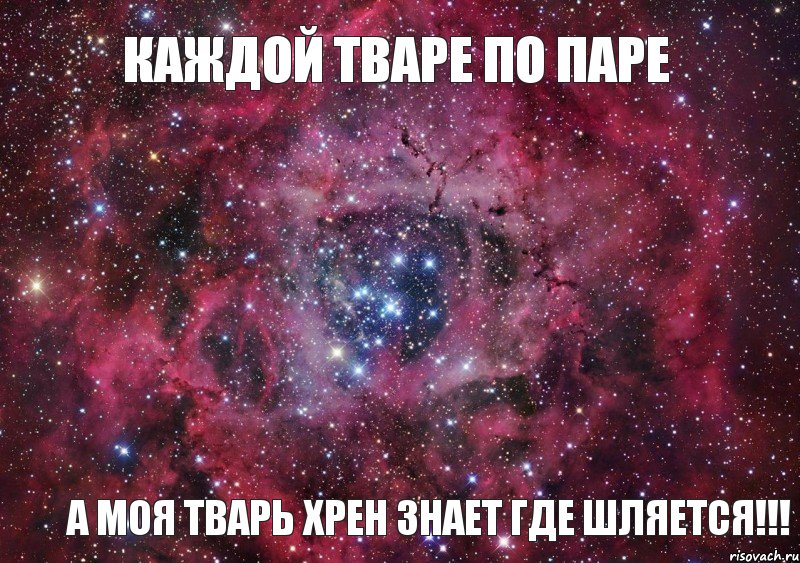 каждой тваре по паре а моя тварь хрен знает где шляется!!!, Мем Ты просто космос