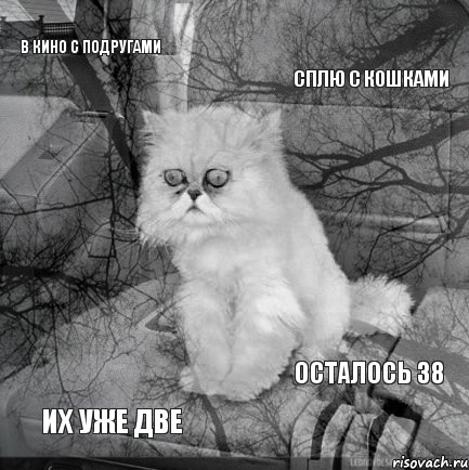 В кино с подругами Сплю с кошками Их уже две Осталось 38 , Комикс  кот безысходность