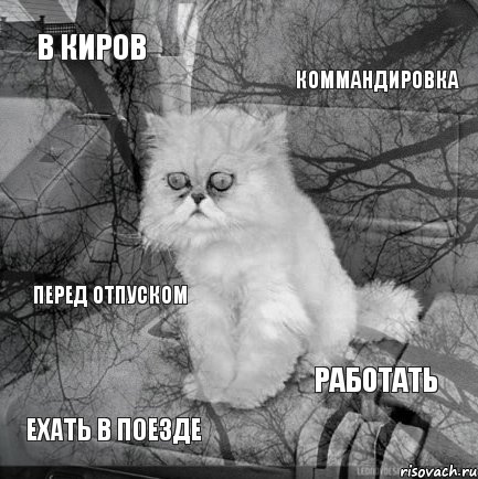 В Киров коммандировка ехать в поезде работать перед отпуском, Комикс  кот безысходность