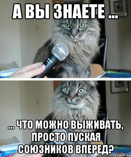 А вы знаете ... ... что можно выживать, просто пуская союзников вперед?, Комикс  кот с микрофоном