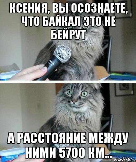 Ксения, Вы осознаете, что Байкал это не Бейрут а расстояние между ними 5700 км..., Комикс  кот с микрофоном