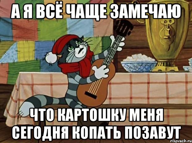 А я всё чаще замечаю Что картошку меня сегодня копать позавут, Мем Кот Матроскин с гитарой