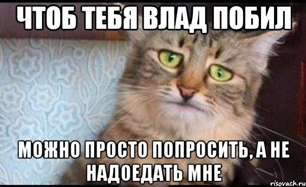 Чтоб тебя Влад побил можно просто попросить, а не надоедать мне, Мем  кот печаль