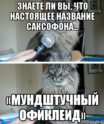 Знаете ли вы, что настоящее название саксофона... «мундштучный офиклеид», Комикс  кот с микрофоном