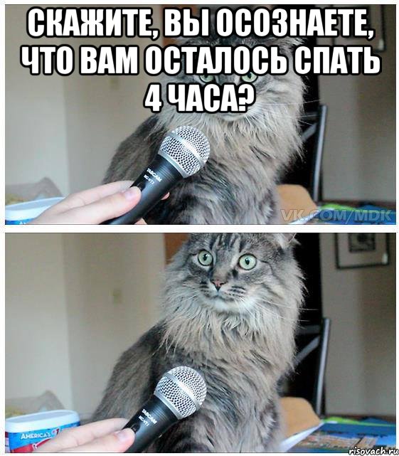 Скажите, вы осознаете, что вам осталось спать 4 часа? , Комикс  кот с микрофоном