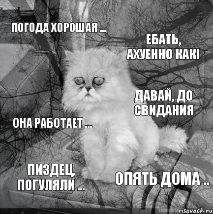 погода хорошая ... ебать, ахуенно как! она работает ... пиздец, погуляли ... давай, до свидания опять дома .., Комикс  кот безысходность