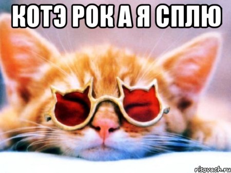 котэ рок а я сплю 