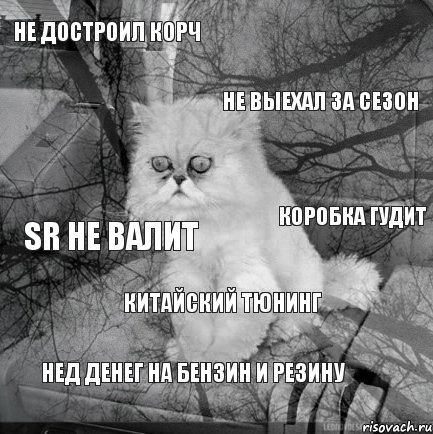 Не достроил корч НЕ выехал за сезон SR не валит Коробка гудит Китайский тюнинг Нед денег на бензин и резину, Комикс  кот безысходность