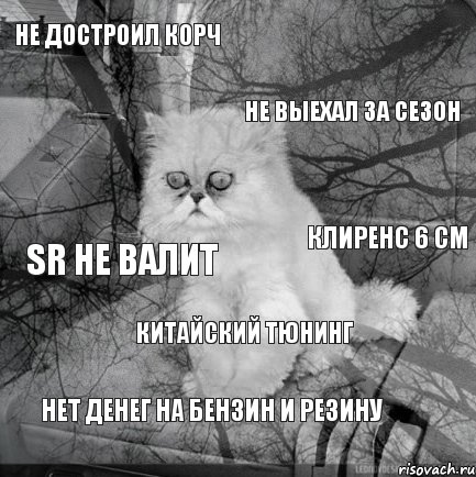 Не достроил корч НЕ выехал за сезон SR не валит Клиренс 6 см Китайский тюнинг Нет денег на бензин и резину, Комикс  кот безысходность