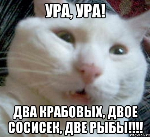 Ура, ура! Два крабовых, двое сосисек, две рыбы!!!!, Мем Котэ позитивный