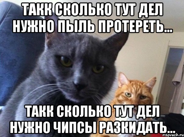 такк сколько тут дел нужно пыль протереть... такк сколько тут дел нужно чипсы разкидать..., Мем  Два котэ