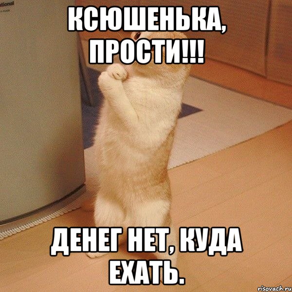 Ксюшенька, прости!!! Денег нет, куда ехать., Мем  котэ молится