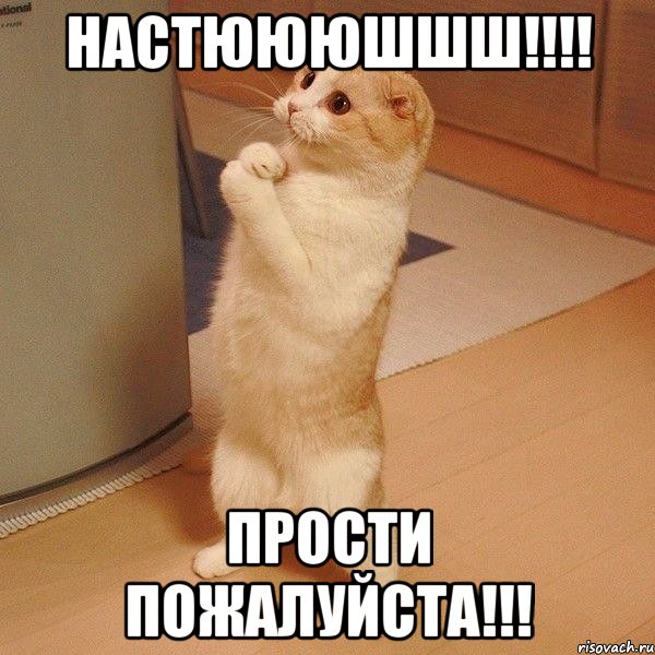 НАСтюююшшш!!!! Прости пожалуйста!!!, Мем  котэ молится