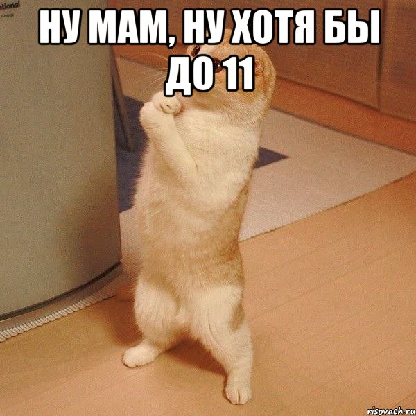 Ну мам, ну хотя бы до 11 , Мем  котэ молится