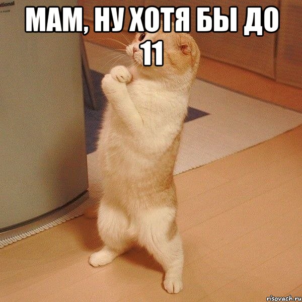 мам, ну хотя бы до 11 , Мем  котэ молится