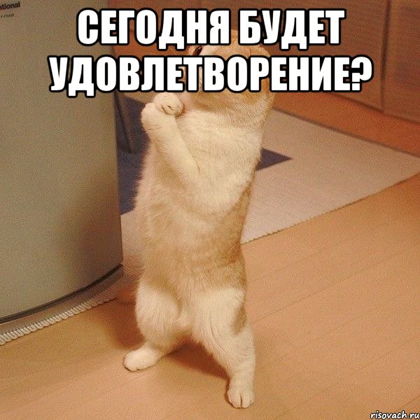 сегодня будет удовлетворение? , Мем  котэ молится