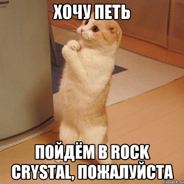 ХОЧУ ПЕТЬ ПОЙДЁМ В ROCK CRYSTAL, ПОЖАЛУЙСТА, Мем  котэ молится