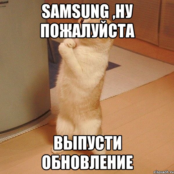 Samsung ,ну пожалуйста Выпусти обновление, Мем  котэ молится