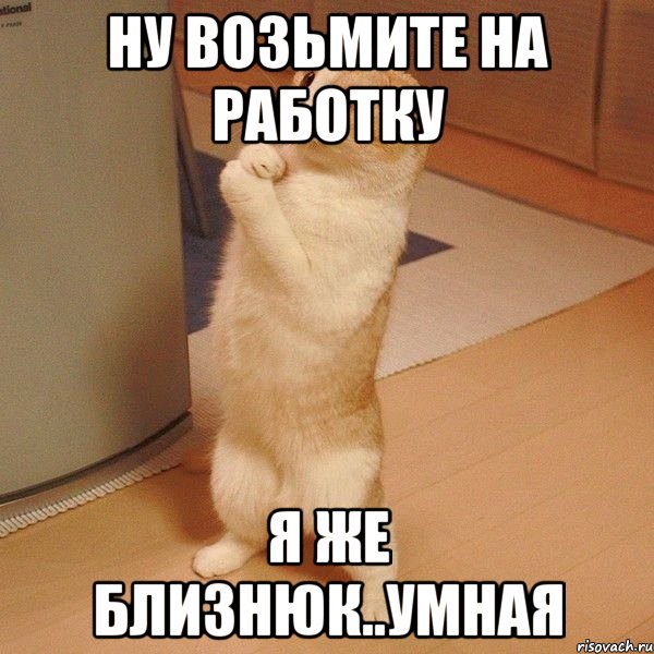 Ну возьмите на работку Я же Близнюк..умная, Мем  котэ молится