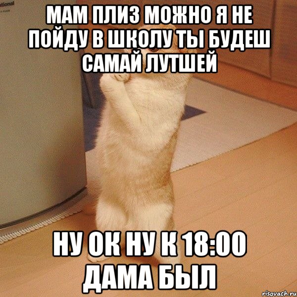 мам плиз можно я не пойду в школу ты будеш самай лутшей ну ок ну к 18:00 дама был, Мем  котэ молится