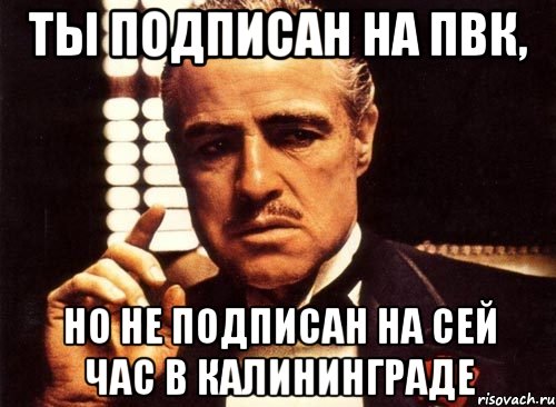 Ты подписан на ПВК, Но не подписан на Сей час в Калининграде, Мем крестный отец