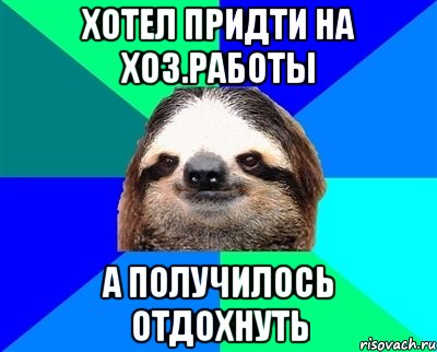 хотел придти на хоз.работы а получилось отдохнуть, Мем Ленивец