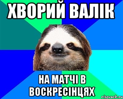 хворий валік на матчі в воскресінцях, Мем Ленивец