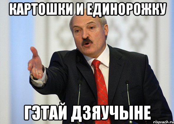 картошки и единорожку гэтай дзяучыне, Мем лукашенко