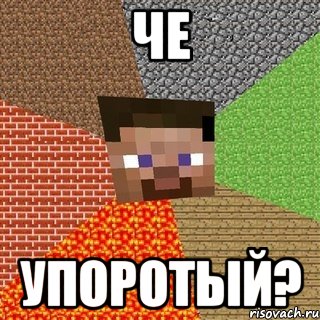 ЧЕ УПОРОТЫЙ?, Мем Миникрафтер