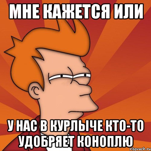 Мне кажется или У нас в курлыче кто-то удобряет коноплю, Мем Мне кажется или (Фрай Футурама)