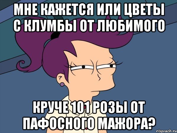 мне кажется или цветы с клумбы от любимого круче 101 розы от пафосного мажора?, Мем Мне кажется или (с Лилой)