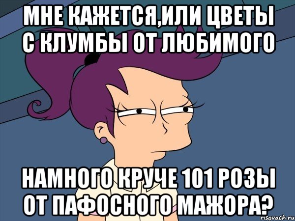 мне кажется,или цветы с клумбы от любимого намного круче 101 розы от пафосного мажора?, Мем Мне кажется или (с Лилой)