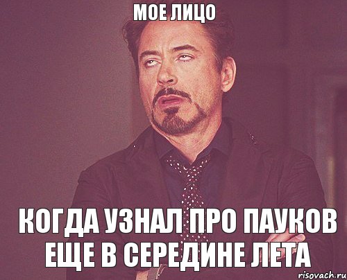 Мое лицо Когда узнал про пауков еще в середине лета, Мем твое выражение лица